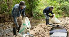 En la imagen principal, la limpieza que adelantaron en las zonas de jurisdicción de Cornare; en la miniatura, una imagen de referencia de colchones. FOTOS: Cornare y Jaime Pérez