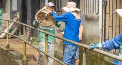 Personal de aseo sacando residuos voluminosos de una de las quebradas de la ciudad. FOTO Alcaldía de Medellín.