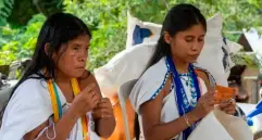 La mayoría de los pueblos indígenas de América descienden de un grupo que llegó hace unos 15.000 años a la región. FOTO: Colprensa. 