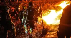 ¿Por qué los suelos y el ecosistema del Tolima favorecen la propagación de los incendios forestales? FOTO: Bomberos de Bogotá 