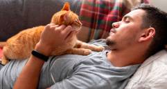Seis características para identificar a un amante de los gatos