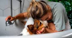 Temperatura del agua para bañar a tu mascota