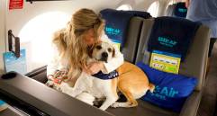 Bark Air, la auuusombrosa aerolínea de los perros tiene nuevo destino