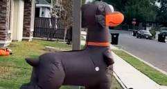 Un perro paseando a un salchicha... y otros videos graciosos de mascotas