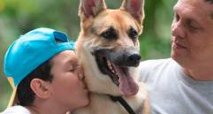 ¡Un perro grande puede convivir con niños pequeños! ¿Cómo lograrlo?