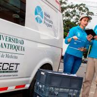 Un equipo de 40 profesionales del Pecet será el encargado de “cultivar” los mosquitos “buenos” al Bajo Cauca y Nordeste para erradicar el dengue. FOTO: CORTESÍA UDEA