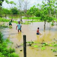 El Urabá sigue sufriendo los embates de la naturaleza. Allí las inundaciones mantienen anegado parte de la subregión. FOTO: imagen tomada de redes.
