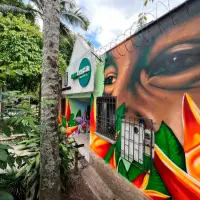 El mural del Mascerca El Poblado combina miradas humanas y elementos naturales para resaltar la conexión entre la comunidad y su entorno. FOTO cortesía Alcaldía de Medellín