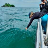 Investigadores durante el trabajo de campo en el Golfo de Urabá, donde recolectaron muestras de la microcapa superficial marina para su análisis en laboratorios especializados. FOTO cortesía UdeA