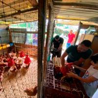 Gracias a la solidaridad, Jénnifer y su familia pudieron darle una segunda vida a su granja avícola en Rionegro. FOTOS Cortesía