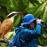 Esta es Bibiana Marín documentando algunas aves del municipio de Bello. Las aves del fondo son unas Pitangus sulphuratus, también conocidas como Bichofué. FOTOS: Cortesía Enmanuel Rendón (foto del perfil de Bibiana) y la Alcaldía de Bello (foto de las aves)