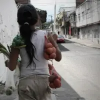 En 2024, 10 % de los menores de 17 años habían realizado trabajo infantil. Este 2026, según la Procuraduría, el 52% de los municipios del país no destinó recursos específicos para combatir este fenómeno. Foto: Colprensa - El Nuevo Día.