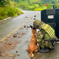 El equipo especializado en neutralización de explosivos adelantó el operativo. Foto: cortesía Ejército.