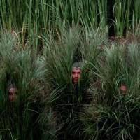 Decenas de bailarines disfrazados de arbustos hicieron parte de la escenografía del show de medio tiempo de Bad Bunny en el Super Bowl. FOTO: Getty Images. 