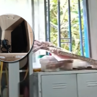 Robaron ocho Computadores para Educar de una escuela rural en Ituango, Antioquia, metiéndose por una ventana. FOTO: Video de denuncia pública de profesor del colegio.