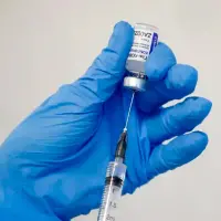 El Conpes expedido por el Gobierno Petro establece una hoja de ruta para recuperar capacidades para esa producción. FOTO GETTY