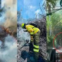 La afectación generada en la montaña con la pérdida de cobertura vegetal por la acción del hombre hoy en prisión, sería de 3,1 hectáreas. Foto: Cortesía.