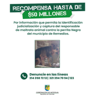 Cartel de recompensa de la Gobernación de Antioquia. Foto: cortesía.
