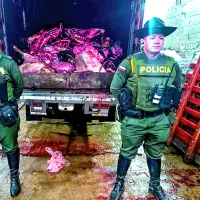 En un operativo realizado en el municipio de Donmatías, Norte antioqueño, las autoridades incautaron 9.000 kilos de carne en malas condiciones. FOTO Cortesía Policía Antioquia.