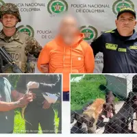 El hombre capturado es señalado de presuntamente tener más de 30 animales en precarias condiciones en un criadero ilegal. FOTOS Cortesía Fiscalía