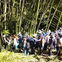 En algunas rutas, se ven grupos de más de 20 personas haciendo una misma ruta, lo que termina desbordando los senderos delimitados y deteriorando la cobertura vegetal. Foto: captura del video de la Alcaldía de Sabaneta.