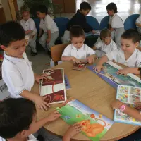 El 51% de los niños colombianos entre 6 y 8 años atraviesa la etapa de aprendizaje de la lectura en condiciones de riesgo, según el Indicador de Riesgo para la Alfabetización Inicial. FOTO Hernán Vanegas Ochoa
