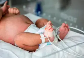 Colombia ha dejado de ser un país de niños para convertirse en una sociedad que envejece a un ritmo que desafía cualquier proyección histórica. Lo que antes era una transición gradual hacia familias más pequeñas se ha transformado, tras la pandemia, en un desplome vertical de los nacimientos. FOTO: El Colombiano.