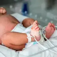Colombia ha dejado de ser un país de niños para convertirse en una sociedad que envejece a un ritmo que desafía cualquier proyección histórica. Lo que antes era una transición gradual hacia familias más pequeñas se ha transformado, tras la pandemia, en un desplome vertical de los nacimientos. FOTO: El Colombiano.
