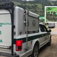 La Policía de Antioquia confirmó que estas personas habrían sido ultimadas por órdenes de alias “Matías” o “Chuzo”, señalado cabecilla de zona del Clan del Golfo en el Nordeste antioqueño. FOTO: Cortesía