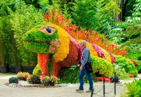 Cientos de asistentes disfrutan de la variada programación cultural y artística de la Feria de las Flores en diferentes puntos de Medellín. FOTO Camilo Suárez