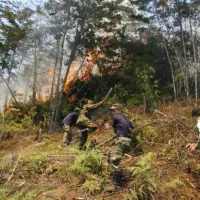 Los bomberos de Medellín luchan contra un incendio en la parte alta de El Poblado. Foto: Archivo EL COLOMBIANO - Róbinson Sáenz