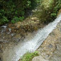 Las intervenciones abarcarán áreas estratégicas como la cuenca del río Arma, las subcuencas de El Buey, Piedras y Pantanillo. FOTO Alcaldía de Medellín. 