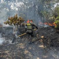 Pese a la cercanía con un sector residencial, el incendio no dejó personas heridas ni viviendas afectadas. FOTO Policía Antioquia. 