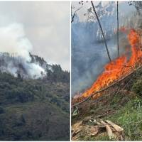 El fuego encontró además una plantación de pinos, un combustible que facilita su rápida propagación. FOTOS Alcaldía de La Estrella. 