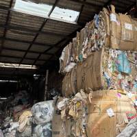 Según Asemar, el pasado 7 de octubre solicitó a Emvarias recoger las más de ocho toneladas bajo la categoría de rechazo, para trasladarlas al relleno sanitario y darles disposición final. FOTO Cortesía Asemar. 