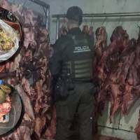 Así lucía parte de la carne incautada en Campo Valdés. FOTOS Policía Metropolitana. 