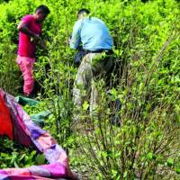 La idea presentada por Rendón consiste en utilizar drones para aplicar glifosato directamente sobre los cultivos de coca, mediante una modalidad de aspersión terrestre focalizada. FOTO Manuel Saldarriaga. 
