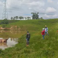 Así fue hallado el animal, en medio del lago y con las patas hacia arriba. FOTO: Cortesía Cornare