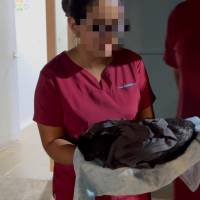 Autoridades investigan lo ocurrido durante la jornada de esterilización de mascotas hecha por una institución académica en Puerto Berrío, que cobró la vida de siete felinos. FOTO: CORTESÍA