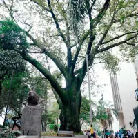 /FOTO: ALCALDÍA DE MEDELLÍN