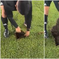 En una decisión de último minuto que tomó por sorpresa a planteles e hinchada, la Dimayor anunció la cancelación del choque entre Millonarios y Once Caldas este martes 13 de octubre. FOTO: Captura de video de redes sociales de Dimayor