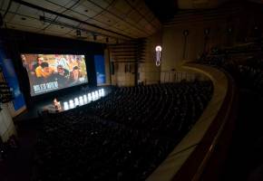 Bogoshorts tiene 15 secciones. FOTO: Bogoshorts