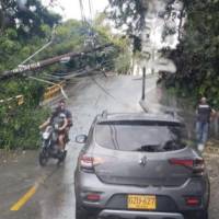 Así quedó uno de los postes de la zona de Guayabal tras la caída de varios árboles sobre él. FOTO: Cortesía Denuncias Antioquia