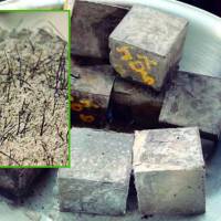 Investigadores de la Universidad de Medellín desarrollaron un mortero reforzado con cabello humano que mejora el comportamiento de los muros de ladrillo ante movimientos sísmicos. La iniciativa busca principalmente mitigar los impactos de los sismos en viviendas y escuelas rurales del departamento. FOTO CORTESÍA UNIVERSIDAD DE MEDELLÍN