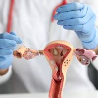 La Corte avaló la recanalización tubárica como herramienta para decidir cuántos hijos tener y ordenó al Ministerio de Salud definir su financiación en el sistema de salud. FOTO DEPOSITPHOTOS