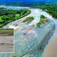Adelante, una vaca pastando en la mitad del río Cauca en su paso por La Pintada. Atrás, el mismo río cruzando con un “hilo” de agua el Occidente de Antioquia. FOTO: Manuel Saldarriaga