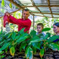 Luneida Giraldo Gallego junto a su esposo Edison Blandón Castaño y su hijo Ángel en el vivero donde buscan resembrar el arbol melcocho. FOTO: Julio César Herrera.