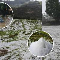 Las fuertes lluvias de este lunes dejaron granizadas en varios municipios de Antioquia. En San Pedro de los Milagros, Belmira y Santa Rosa de Osos, el granizo cubrió calles y campos. Foto: redes sociales