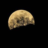 Ilustración de un asteroide cercano que comparte la órbita de la Tierra alrededor del Sol sin estar ligado gravitacionalmente al planeta. FOTO AFP