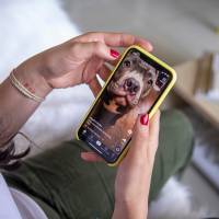 Mientras tanto, en Reino Unido, el ente regulador de medios de comunicación y telecomunicaciones abrió investigación contra TikTok para determinar si ha incumplido sus obligaciones de proteger a los menores de la exposición a contenidos perjudiciales. FOTO El Colombiano. 